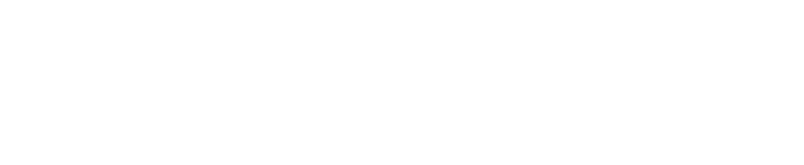 TrackCargo